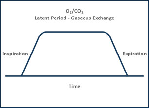 functional-graphs1