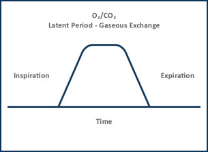 functional-graphs2